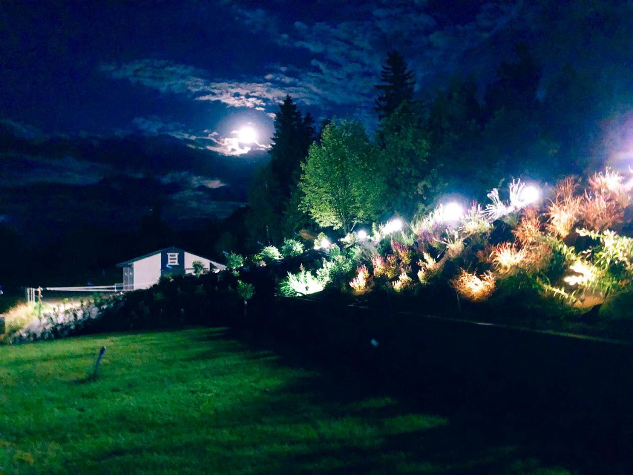 Apartamenty Innwersja ドゥシュニキ・ズドルイ エクステリア 写真